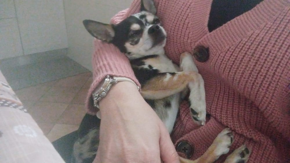 inbound8436144752199357387