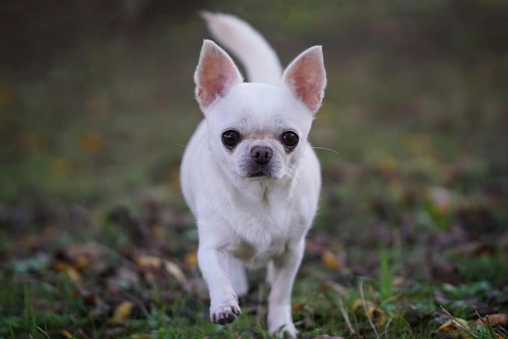 e4196d8b 5a7a 43a2 8899 abd65eb8da75