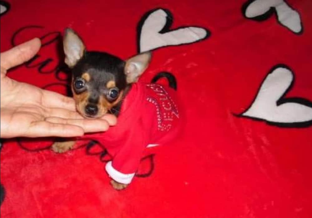 Screenshot 2023 11 10 18 11 46 73 965bbf4d18d205f782c6b8409c5773a4