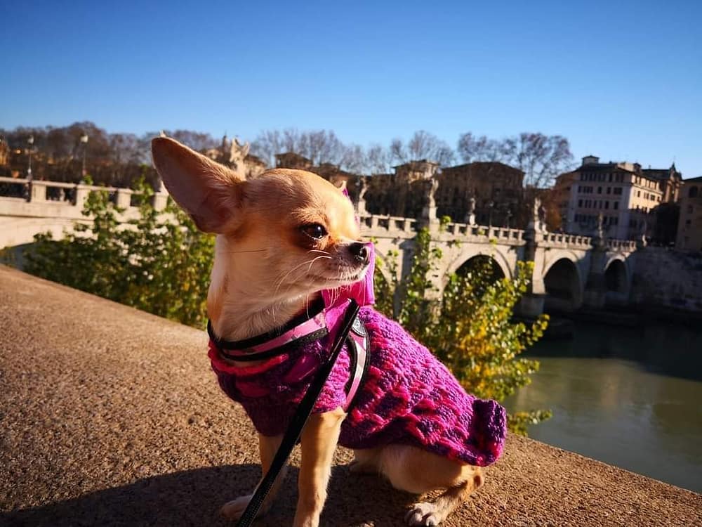 inbound3440759671547720163