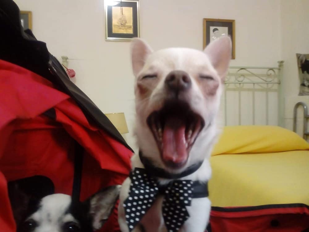 inbound4067918955605676258