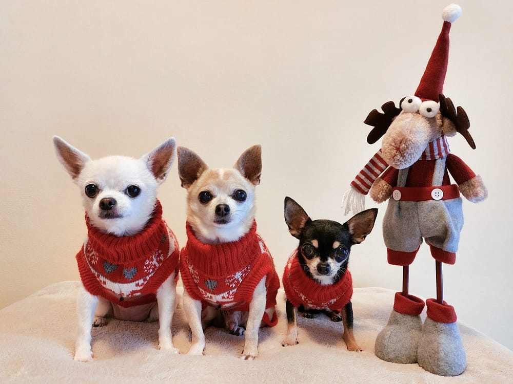 inbound5209487361695463273