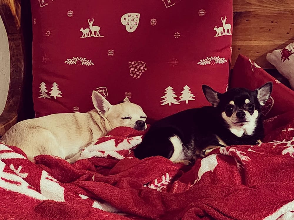 inbound5330885080553288550