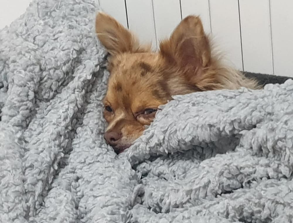 inbound1307287454306327229