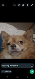 inbound1432384134576329782