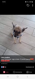 inbound5292273211358886797