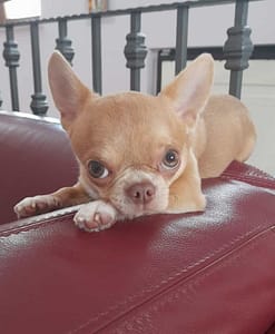 inbound3014523644409562144