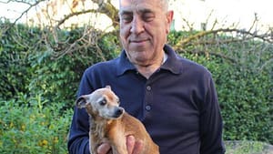 Briciola: Il Chihuahua-Pinscher che ha Vissuto 30 Anni – Il Segreto di una Vita Lunga e Felice