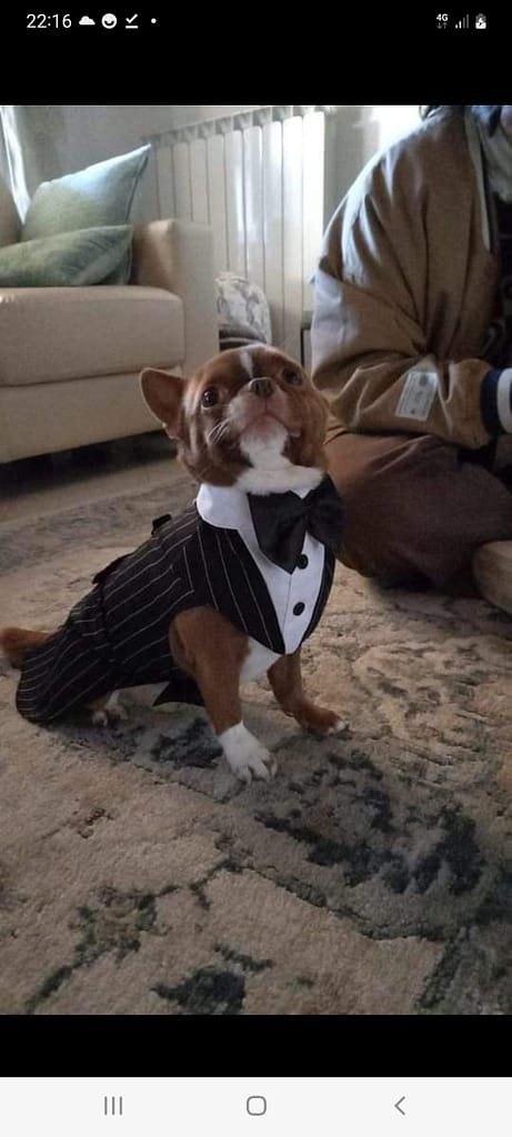 inbound1217375094609909927