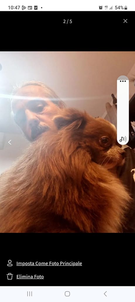 inbound7258494082076912855