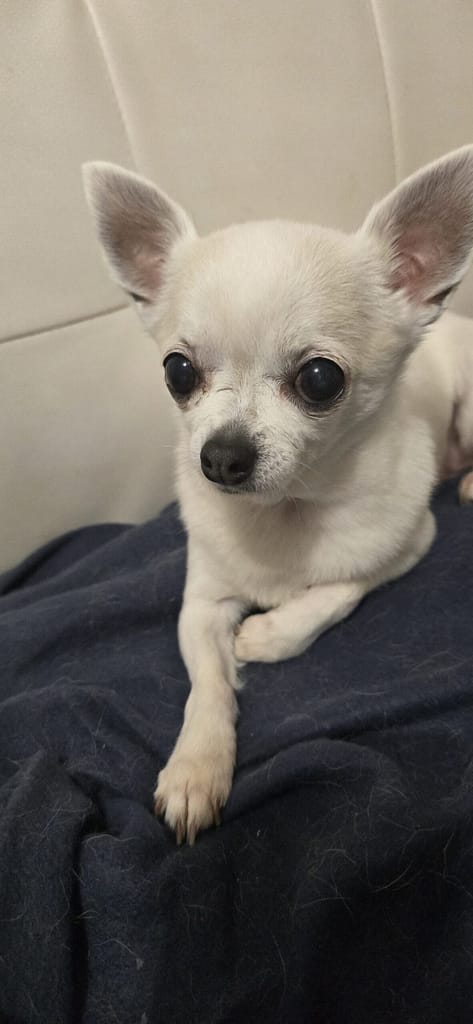 inbound4328248076995569987