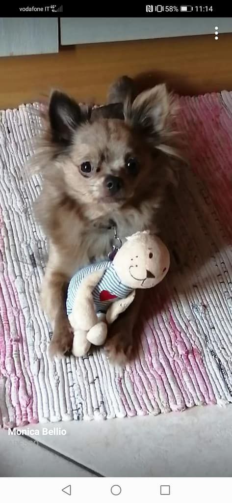 inbound8568609027135010277