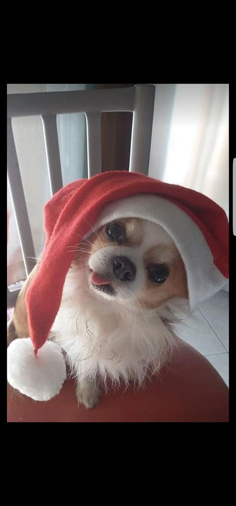 inbound3178014043518928049