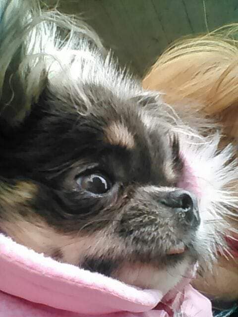 inbound6155684931402670975