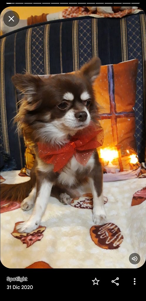 inbound2517203335162424916