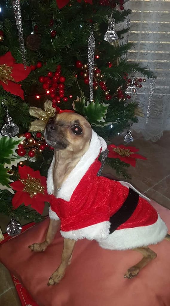 inbound2128747788456063013