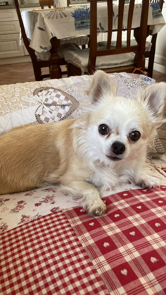 3DDC5765 318A 4B8D B887 728632BE5C04