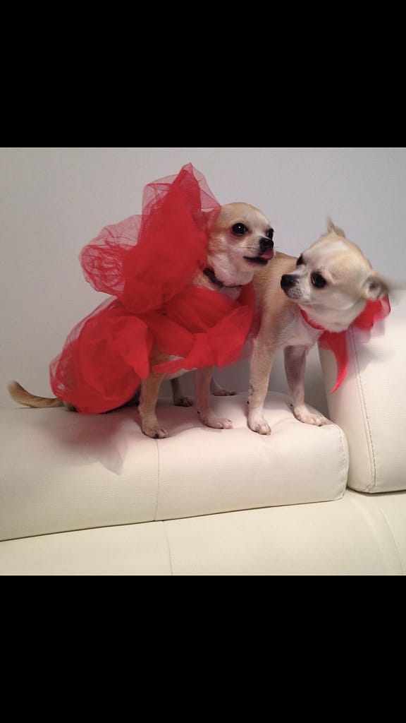 DFA22168 E23B 4299 801D 84DF085C76B8