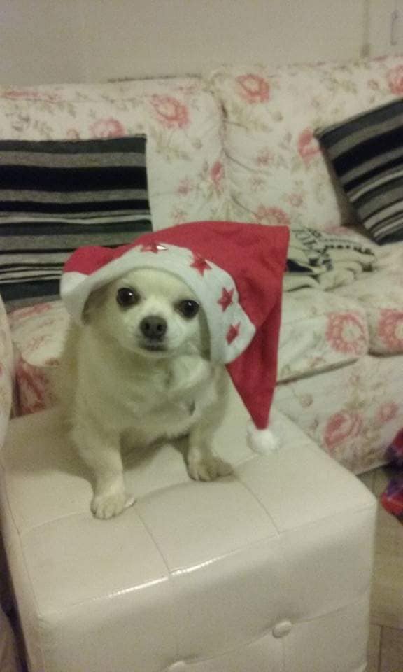 inbound1683972375615733771