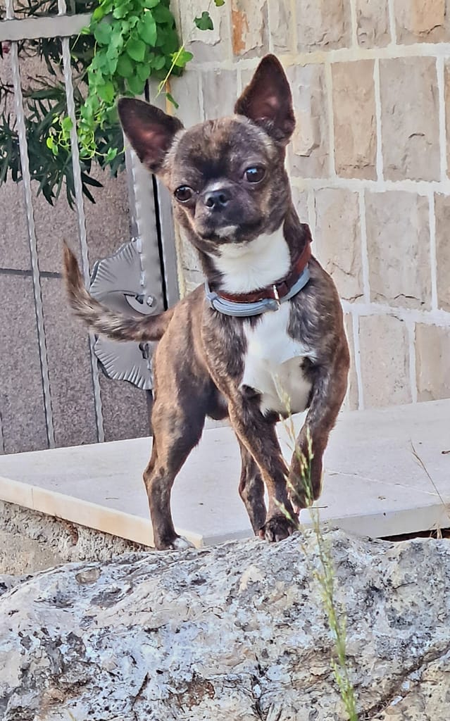 inbound4900419157465949613