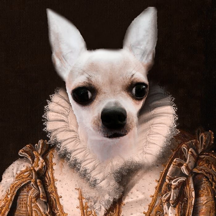 90C37BEF 3DE9 45E1 8650 A138E98A2A66