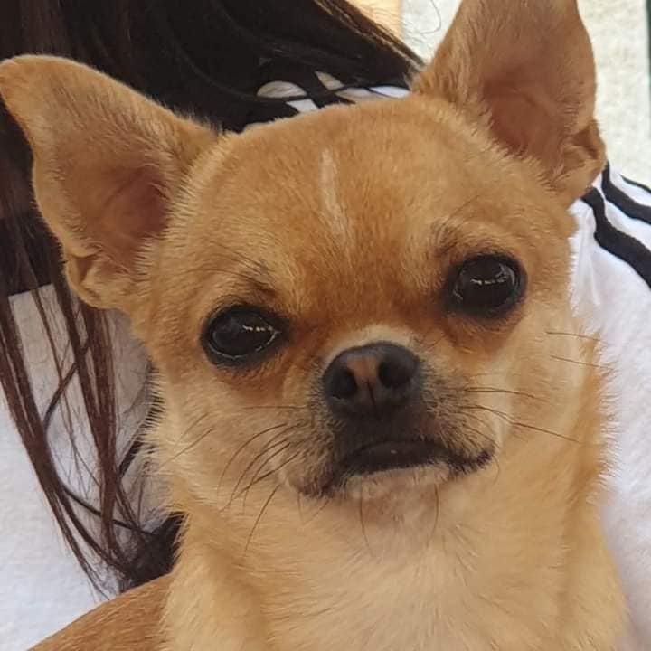 inbound6020099166810052403