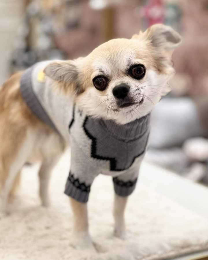 inbound737042149788310660