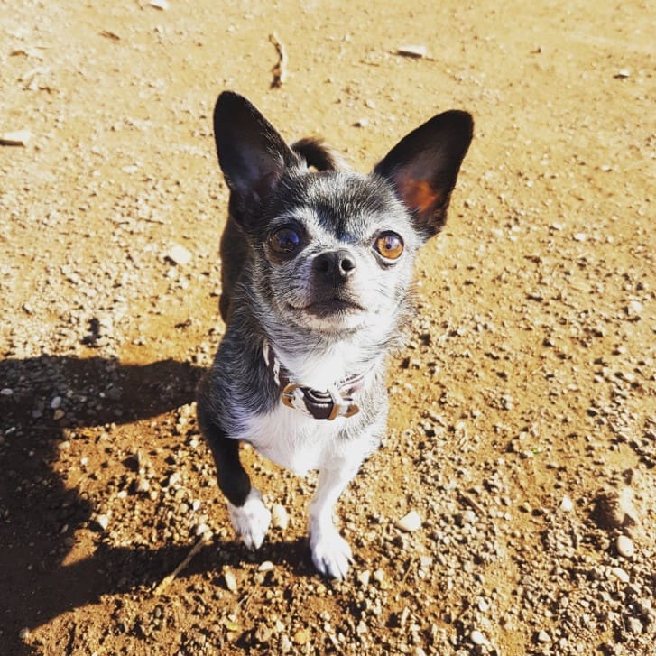 BCEE48AA5A8D4CAAAF37FED82DA01836