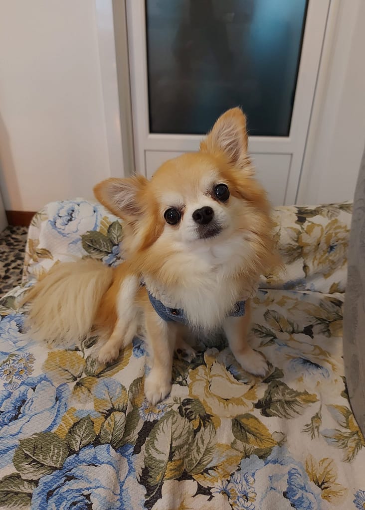 inbound251158172659659934