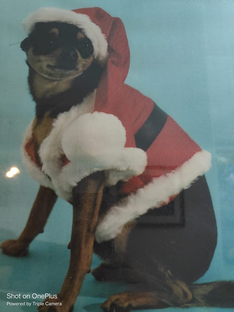 16990311253038180879194944117695