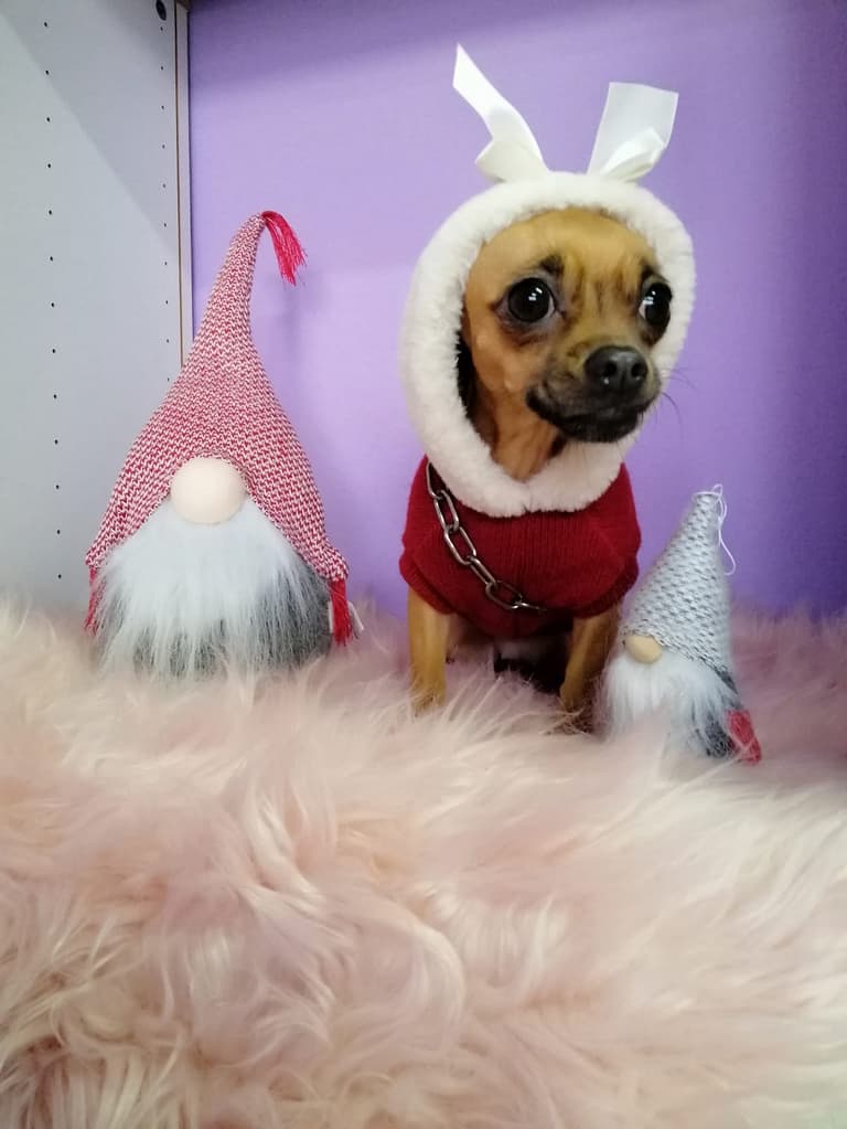 8DA946D5 8CF4 494A A1F8 62B937DB5DD9