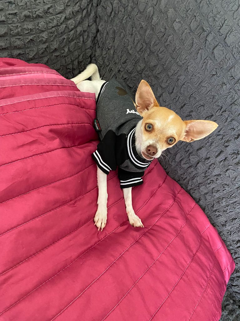 a14f693e d499 4fdc b5fb d43e82e60774