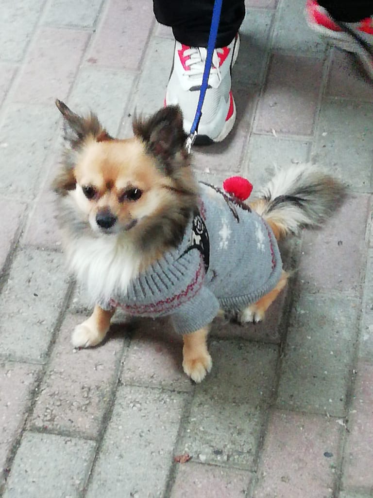 inbound1536471943911798819