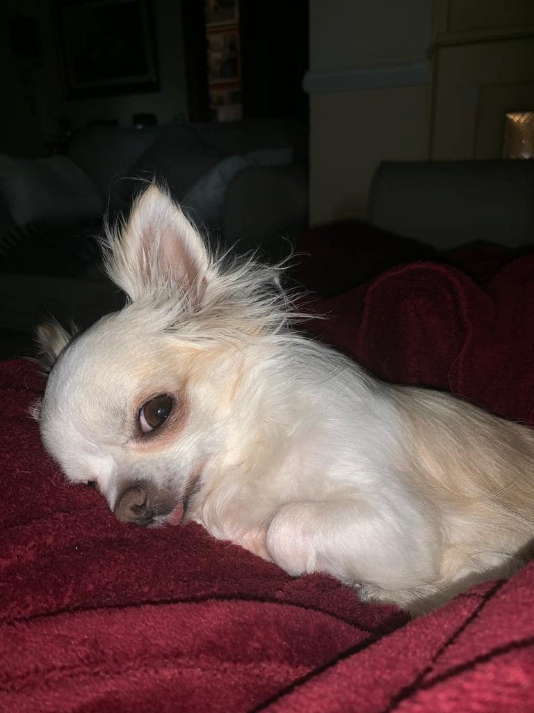 inbound2919122360360214522