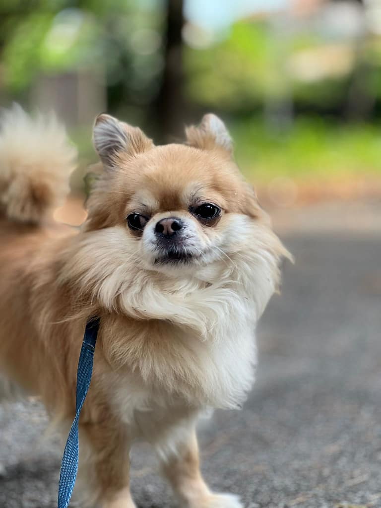 inbound3896003405226438420