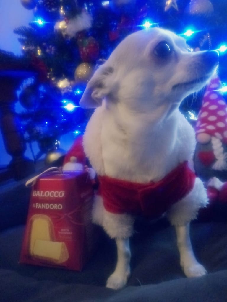 inbound4523939456730264855