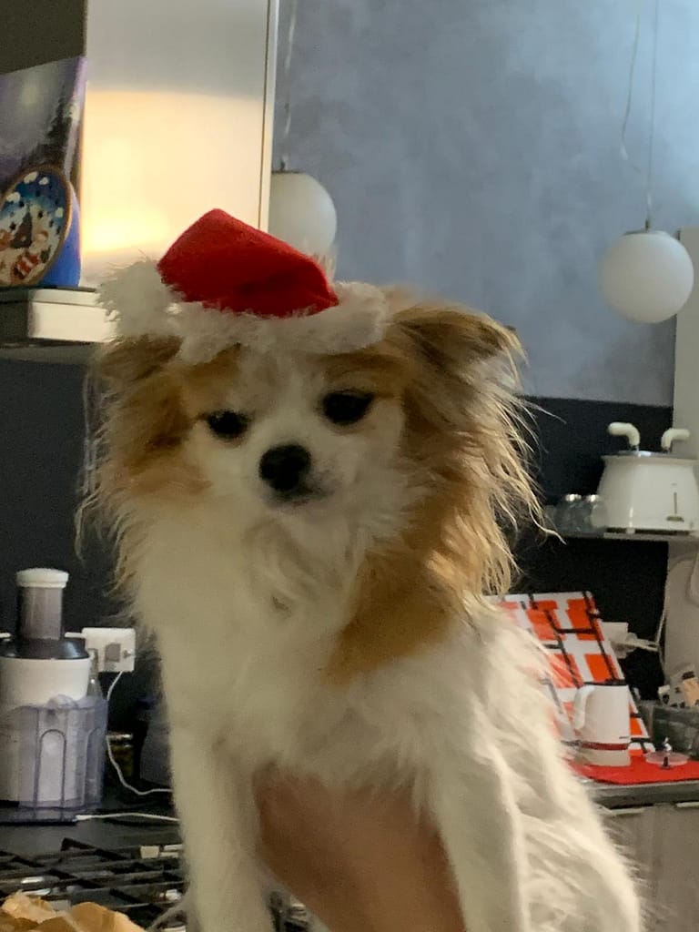 inbound6734106759385833859