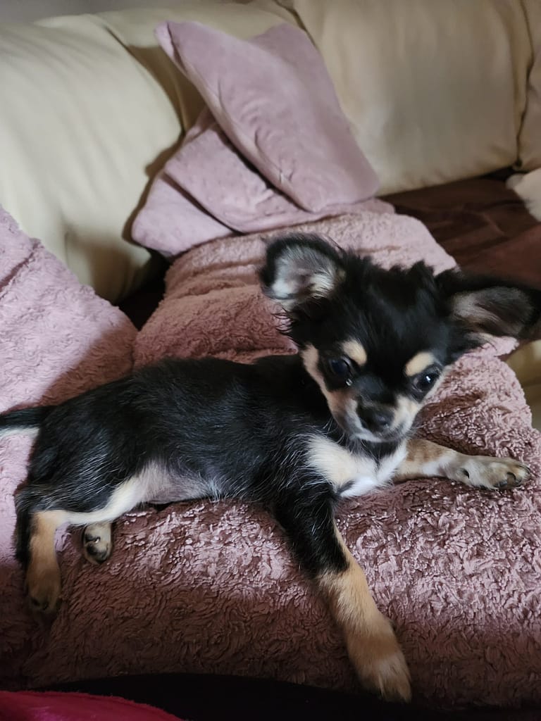 inbound6854308051970234270