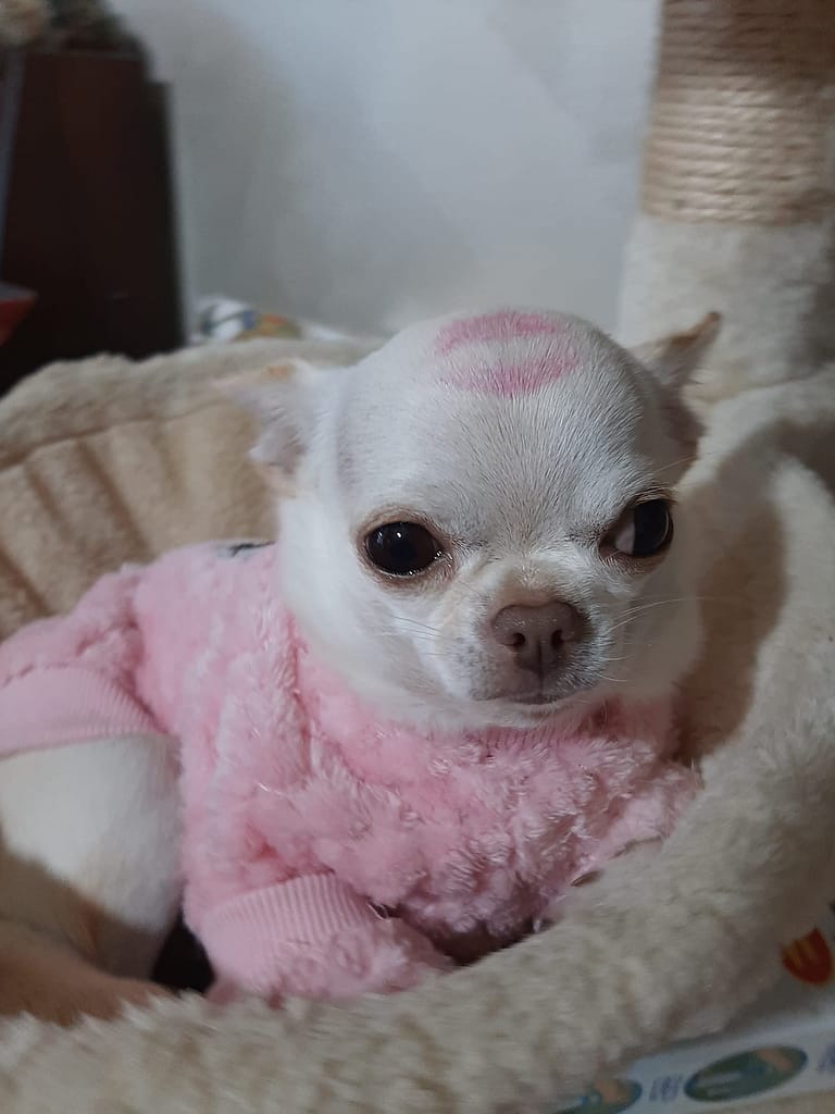 inbound764085917123428322