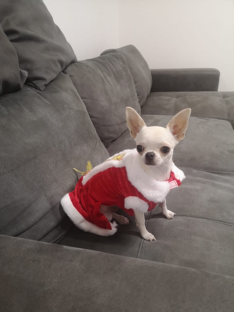 inbound8609625461418849944