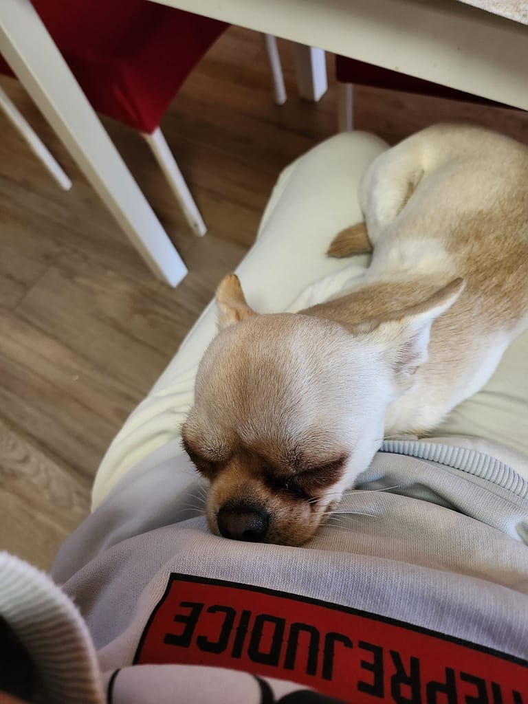 inbound9018661762693779162