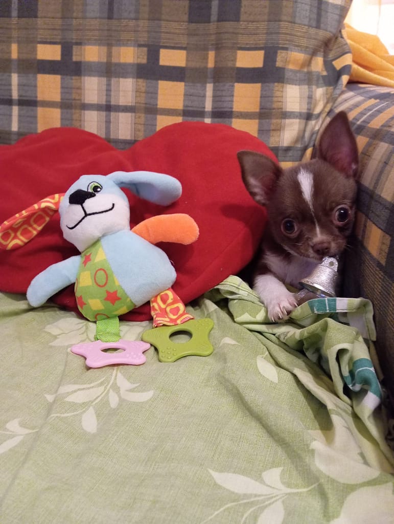 inbound3638573503761521660