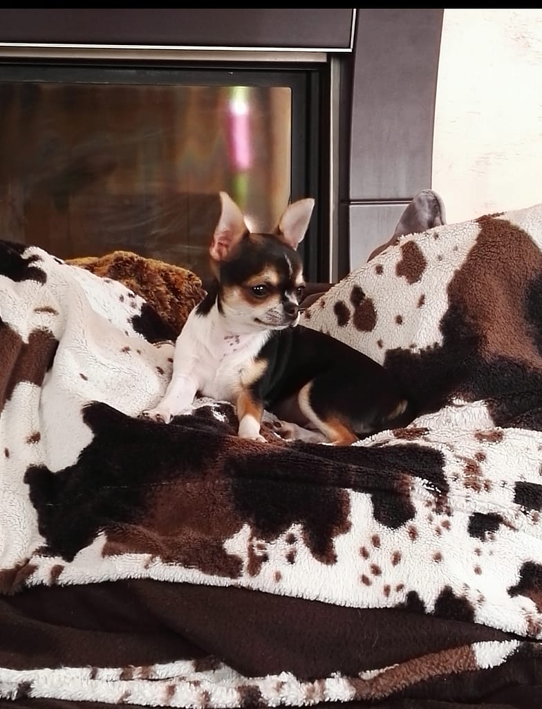 inbound2051144554890666860