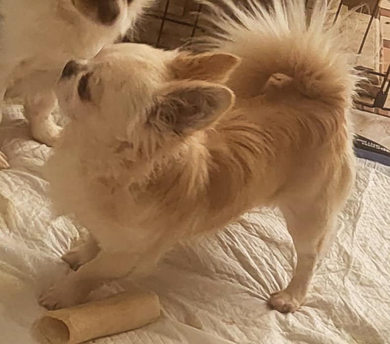 inbound7169813534653924428