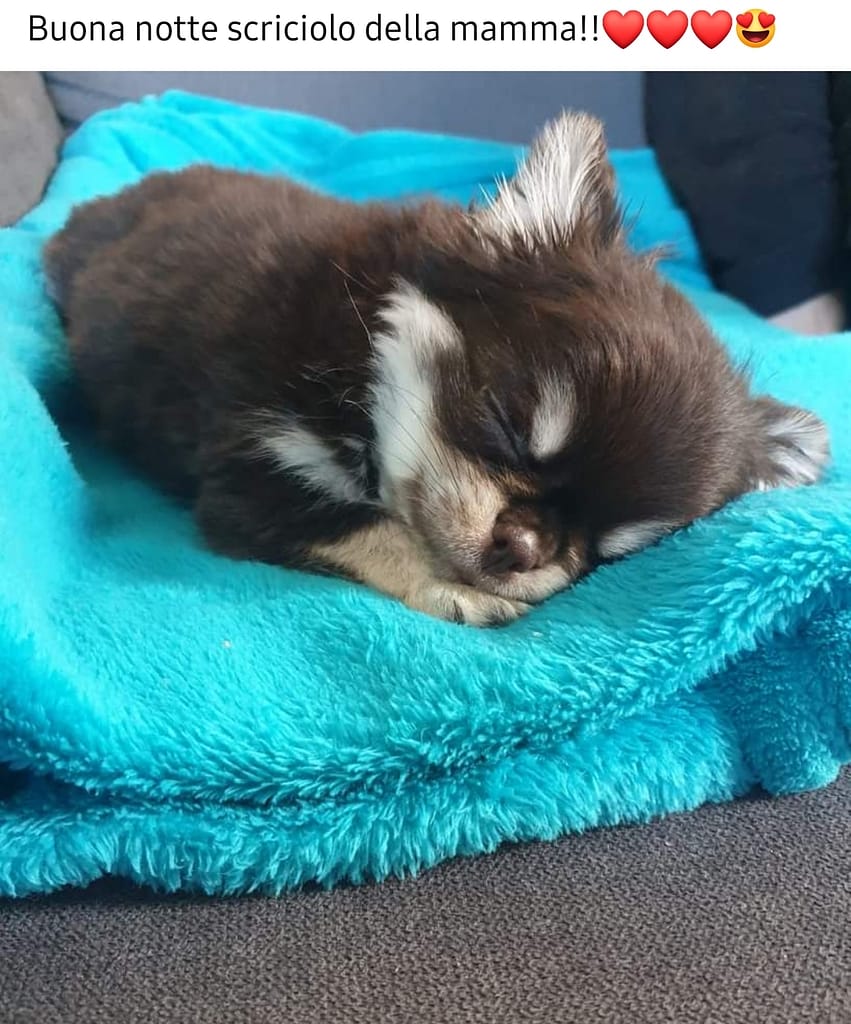 inbound3683945810312705244