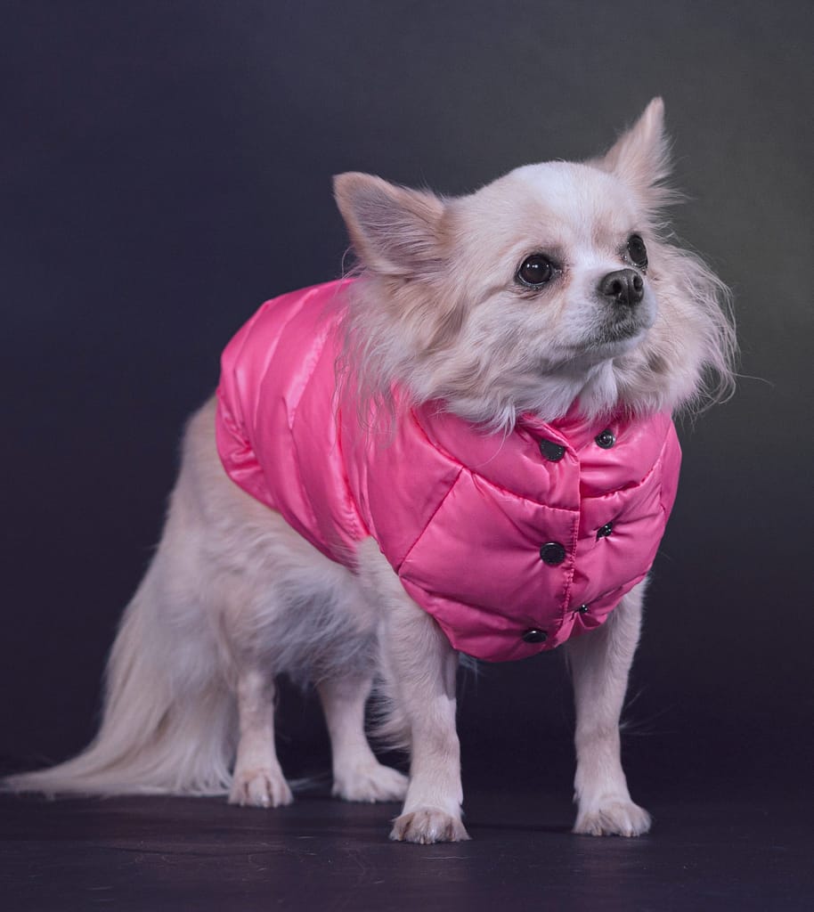 inbound917440614293721408