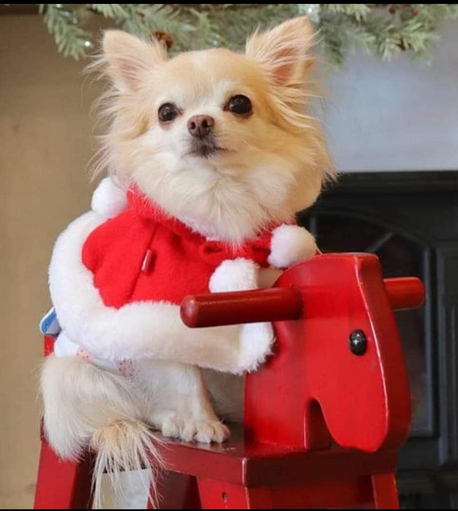 Screenshot 2023 11 03 17 59 30 80 a23b203fd3aafc6dcb84e438dda678b6