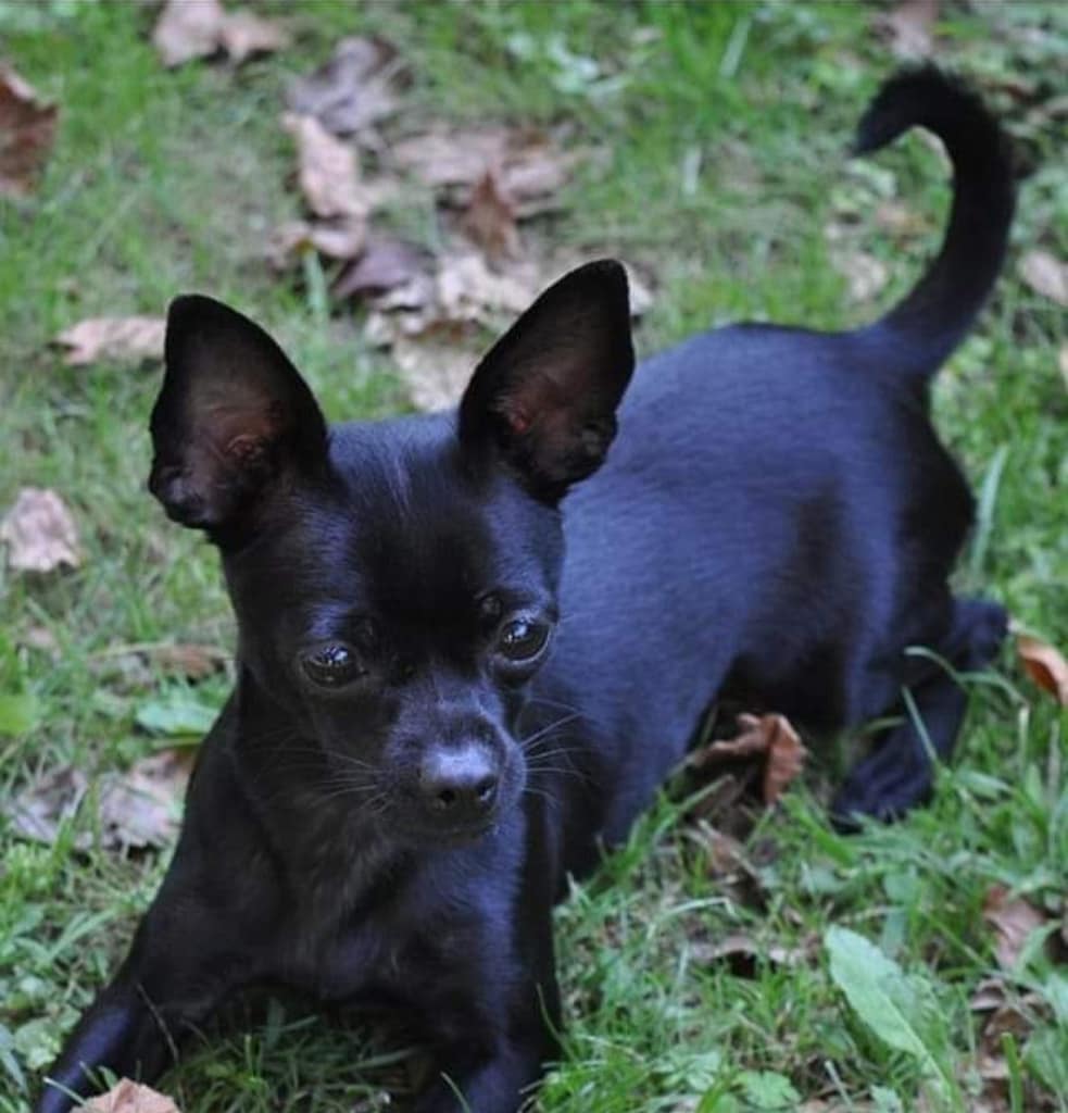 inbound4523206690683124847