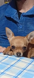 MIA 2 inbound7929827417721930970