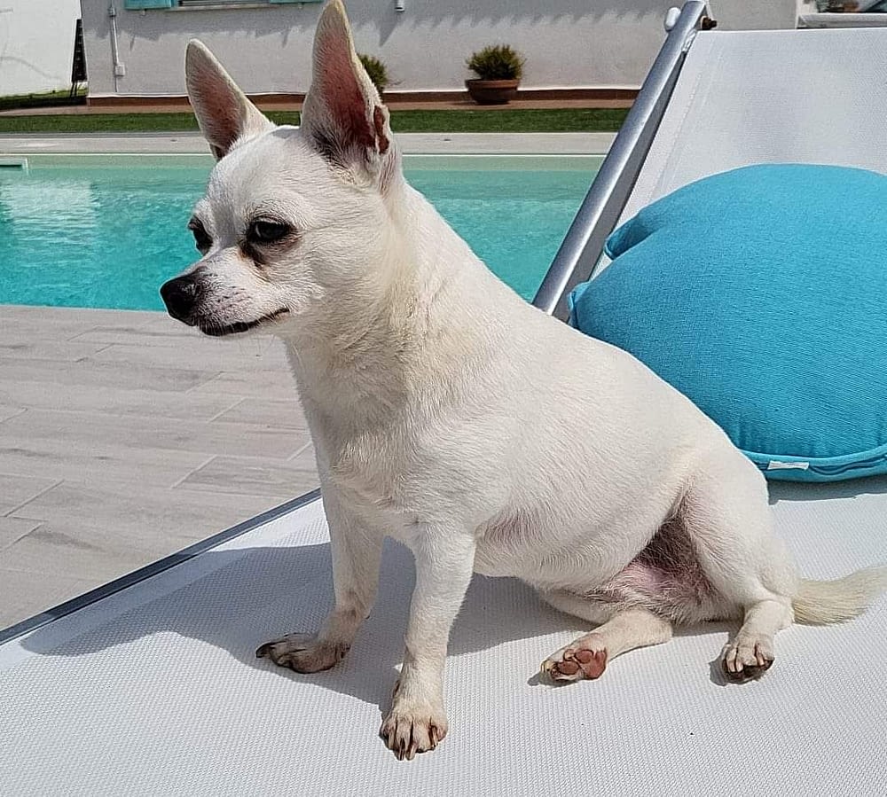 MILÙ 2 inbound3183730070347587212